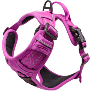 matilda fit™ no pull harness (front clip)